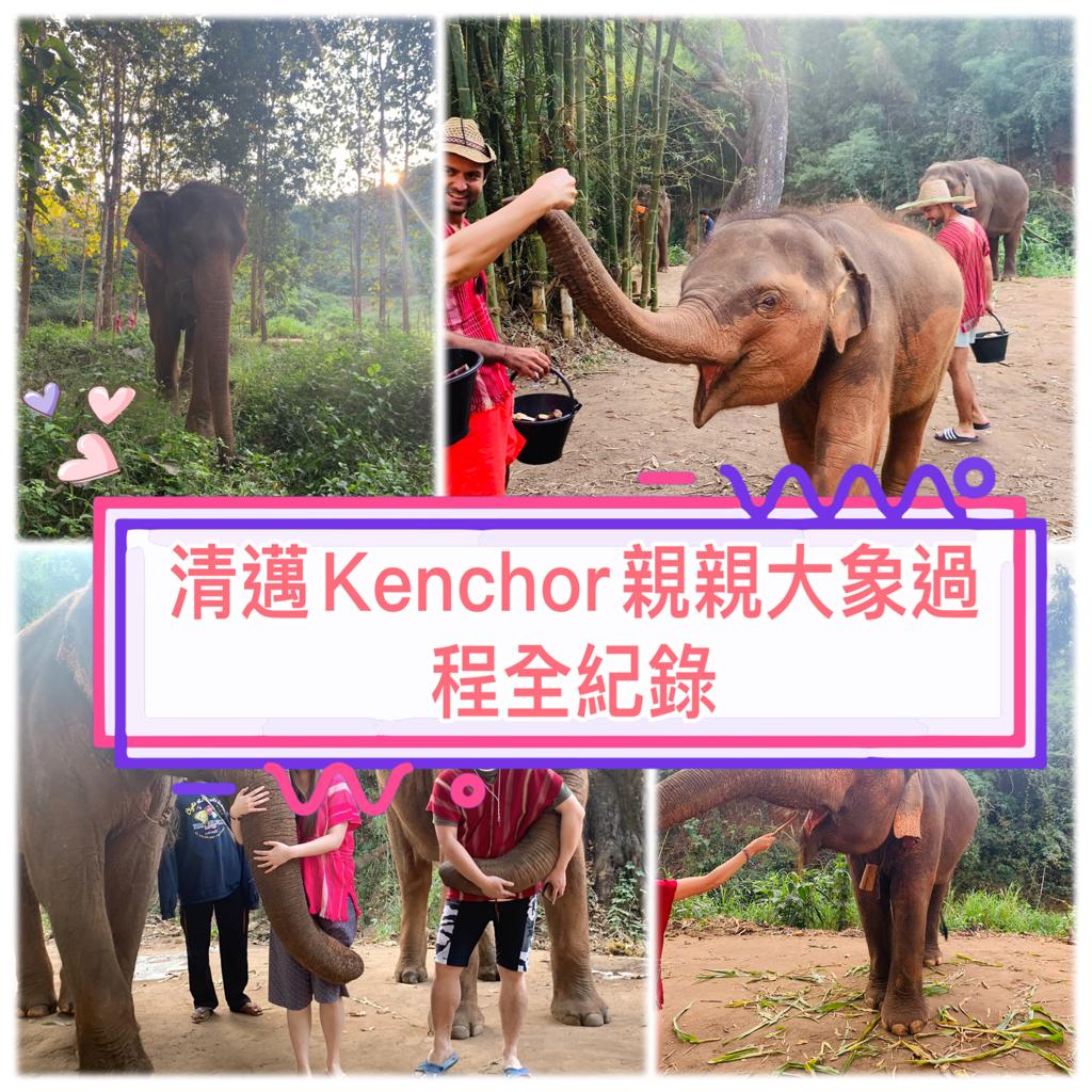 【清邁景點】Kerchor大象生態公園過程全紀錄，超好玩必去！