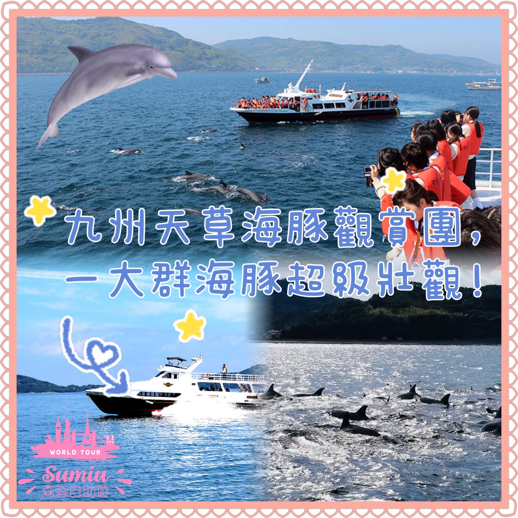 【九州天草】3個出海看天草海豚的觀賞團，一大群海豚的壯觀畫面！