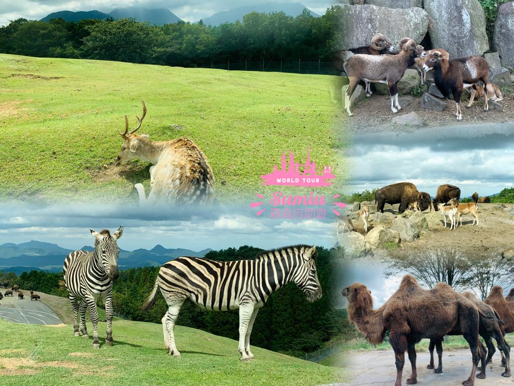 九州自然動物公大型動物區 (African Safari)