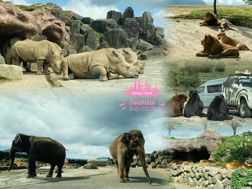 九州自然動物公園大型動物區 (African Safari)