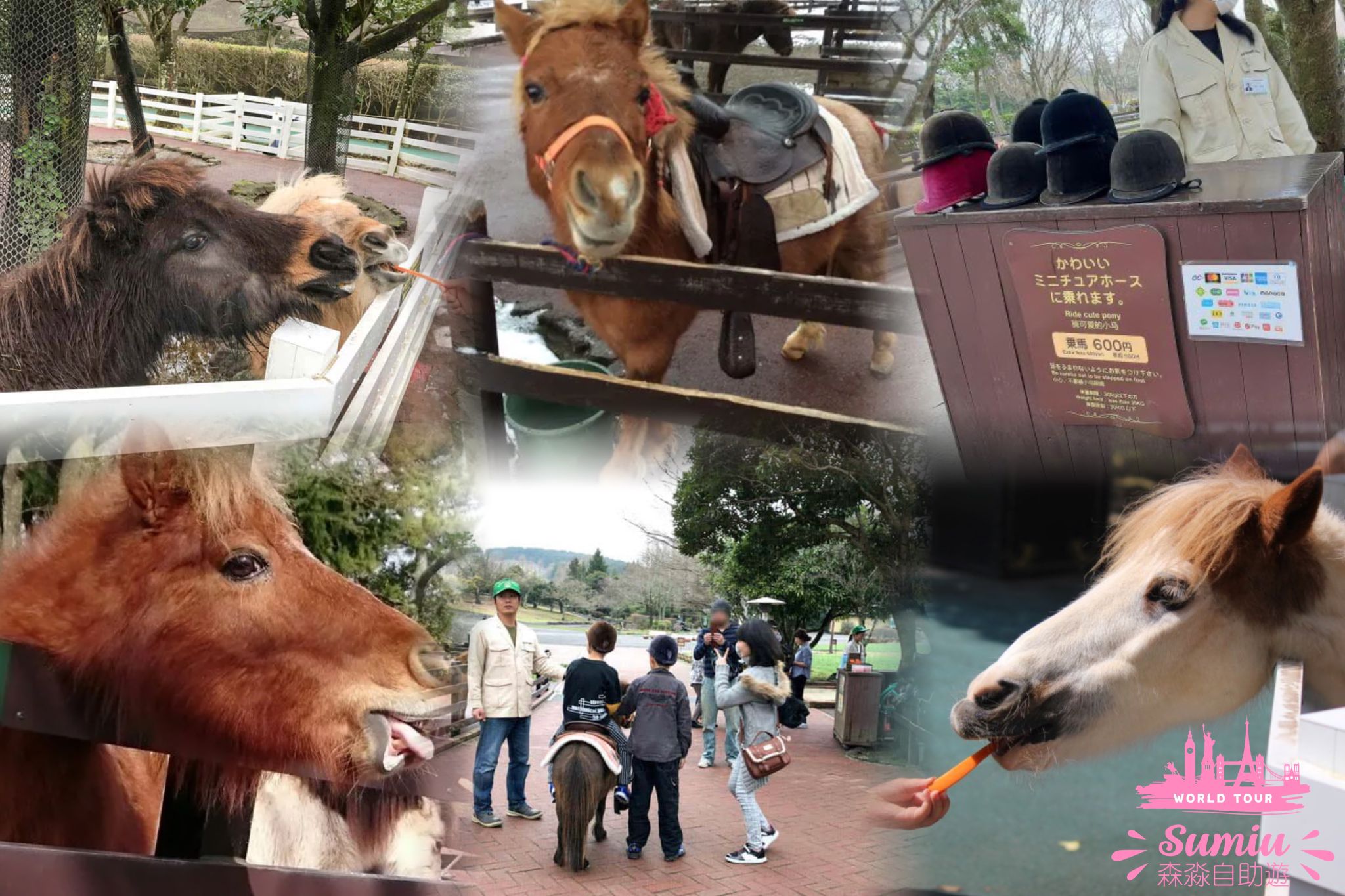 九州自然動物公園迷你馬騎乘和餵飼區
