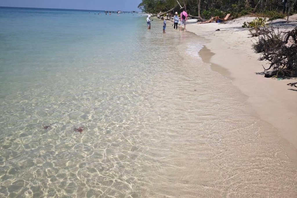 富國島海星沙灘starfish beach