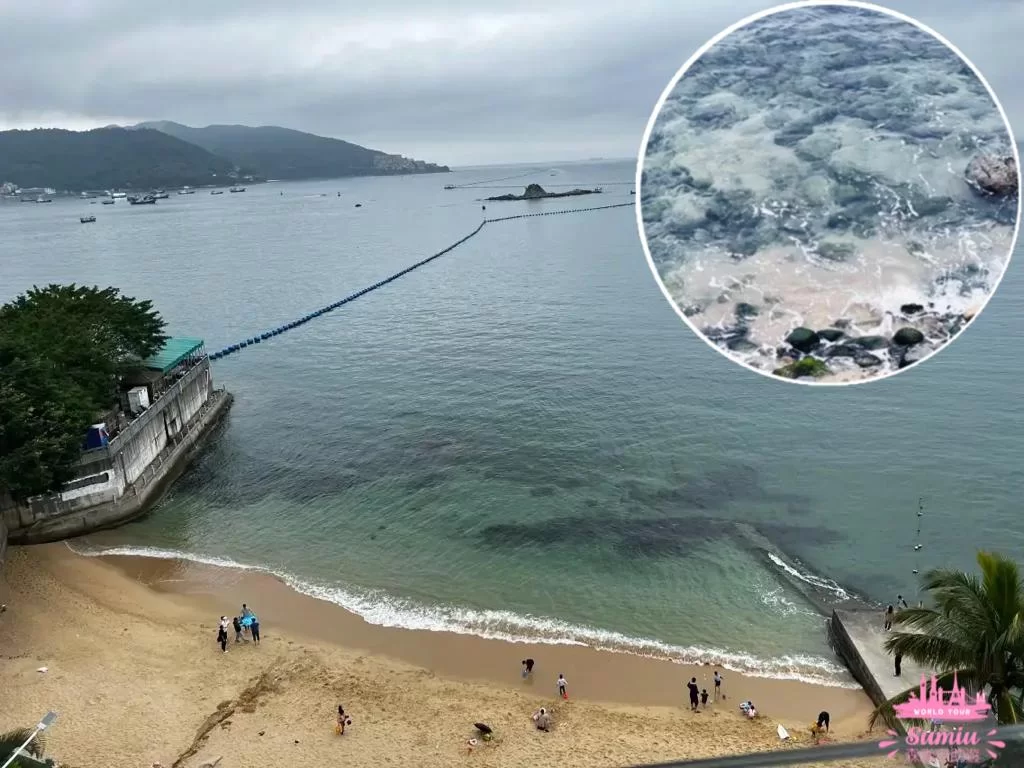 4-深圳南澳蜜悦·深圳藍白聖島懸崖泡池美宿酒店位置