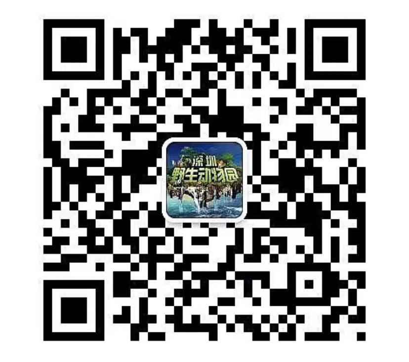 深圳野生動物園|各項表演簡介 & 時間