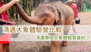 【3個清邁大象體驗營比較】與大象近距離接觸，清邁哪個大象體驗營最好？