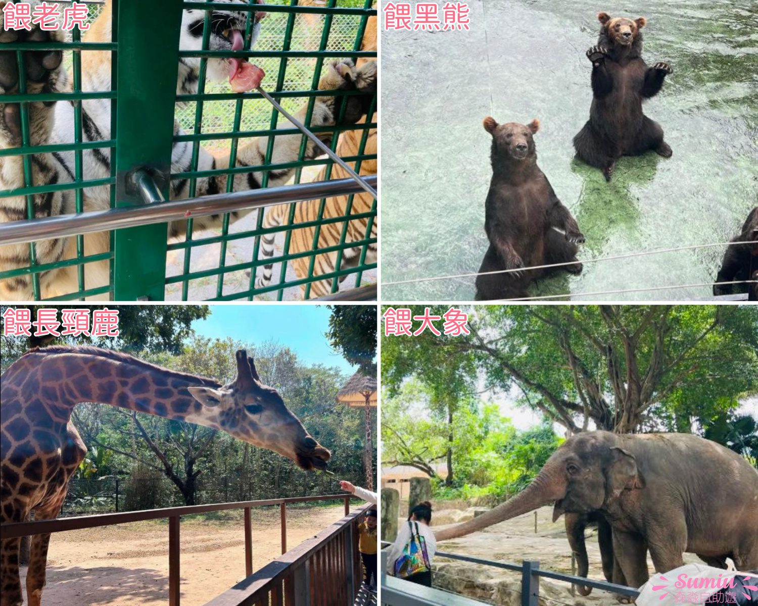 深圳野生動物園