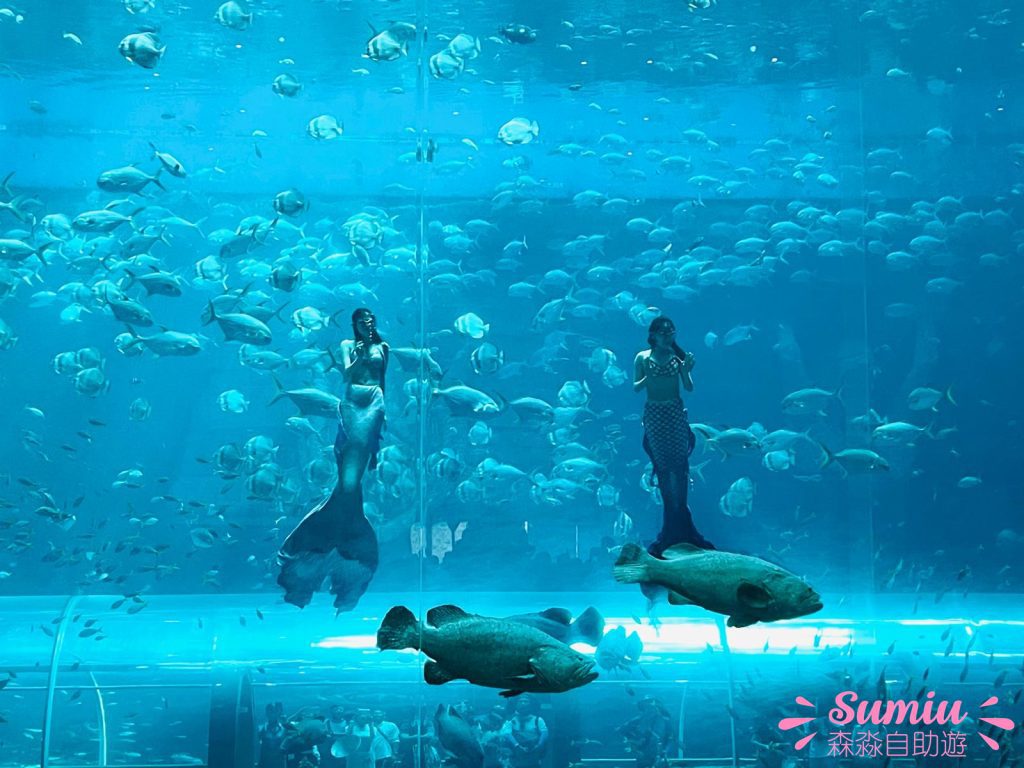 富國島珍珠遊樂園VinWonders Phú Quốc美人魚表演