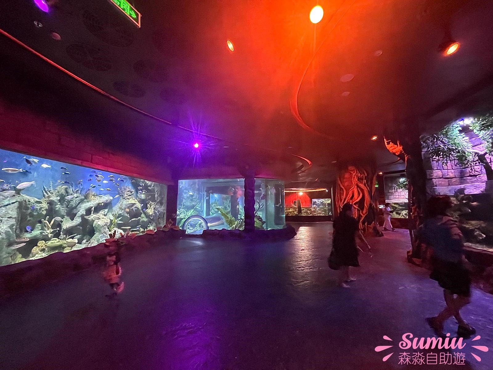 富國島珍珠遊樂園VinWonders Phú Quốc