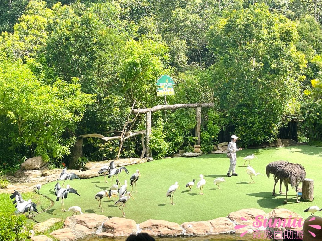 富國島珍珠野生動物園動物表演