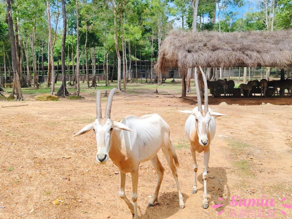 富國島珍珠野生動物園
