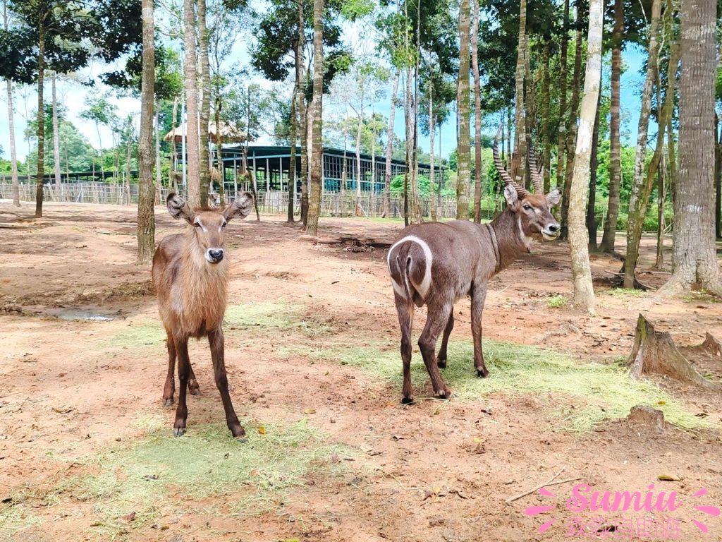 富國島珍珠野生動物園