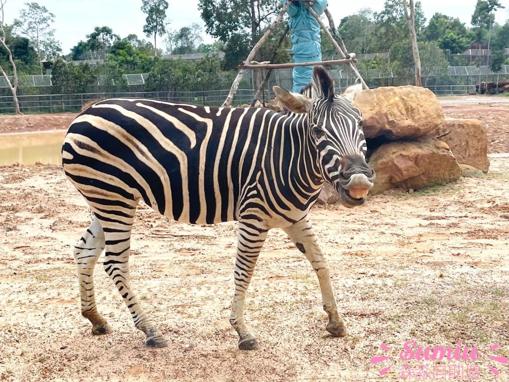 富國島珍珠野生動物園