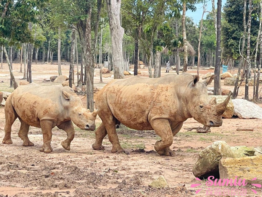 富國島珍珠野生動物園Vinpearl Safari Phu Quoc