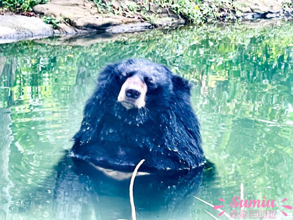 富國島珍珠野生動物園Vinpearl Safari Phu Quoc