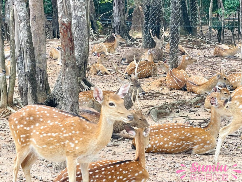 富國島珍珠野生動物園