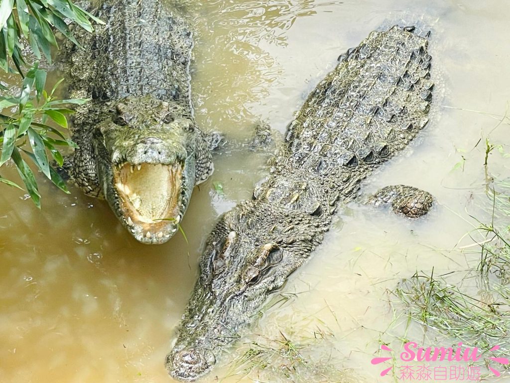 富國島珍珠野生動物園