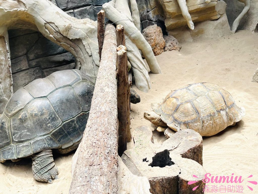 富國島珍珠野生動物園爬蟲館
