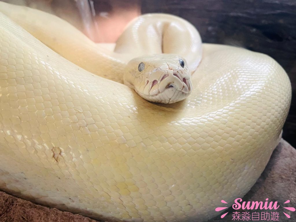 富國島珍珠野生動物園