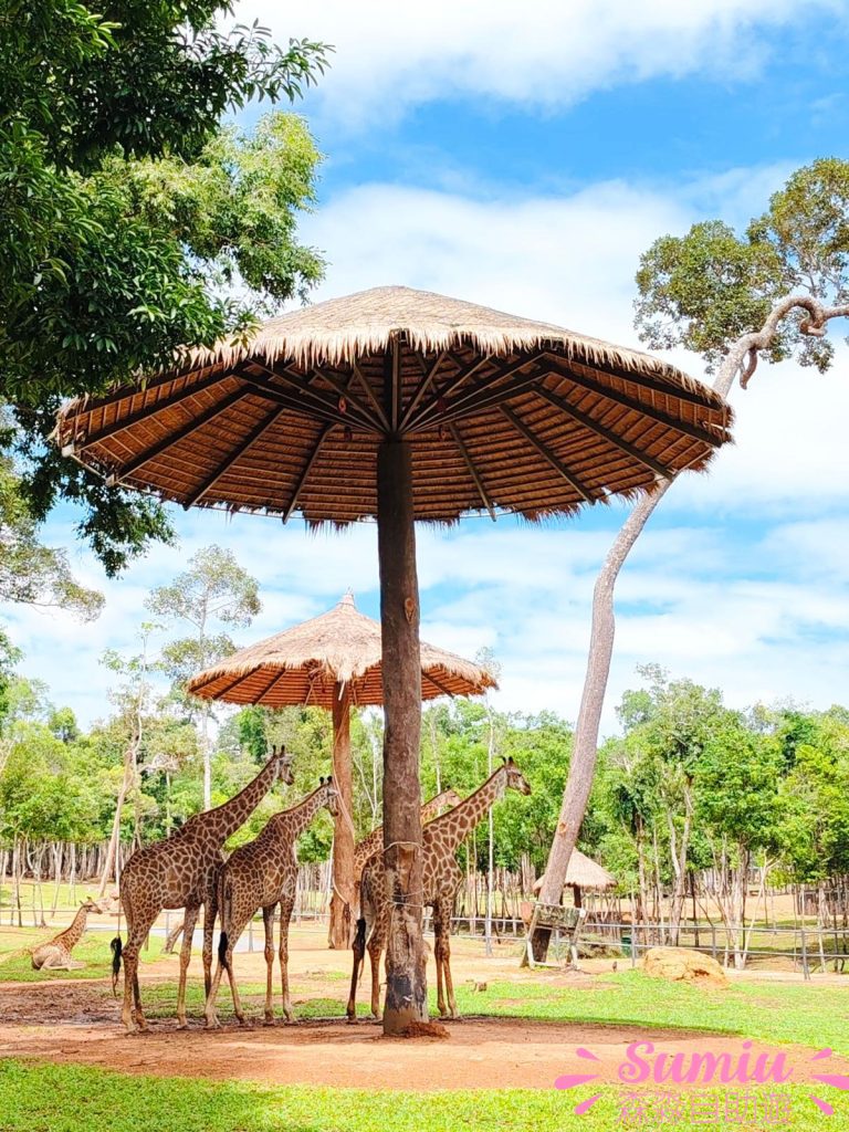 富國島珍珠野生動物園