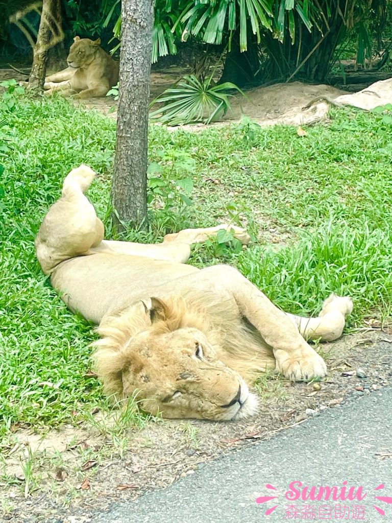 富國島珍珠野生動物園