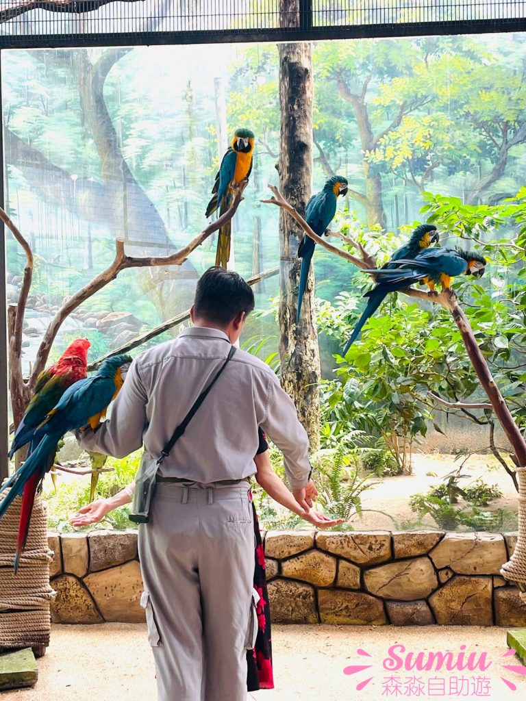 富國島珍珠野生動物園跟鸚鵡拍照