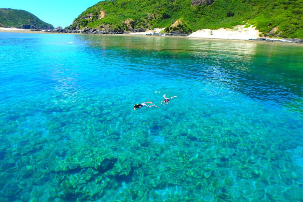 沖繩渡嘉敷島|距離那霸船程35分鐘的浮潛天堂|看海龜、冬季賞鯨