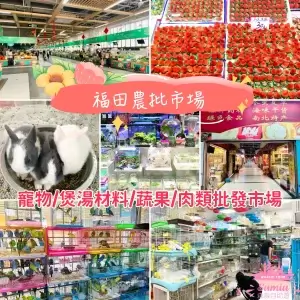 【深圳好去處】福田農批市場半日遊🦜寵物｜煲湯材料｜蔬果