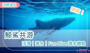 【沖繩潛水】鯨鯊共游浮潛｜潛水｜Fun Dive 潛水體驗｜開箱！