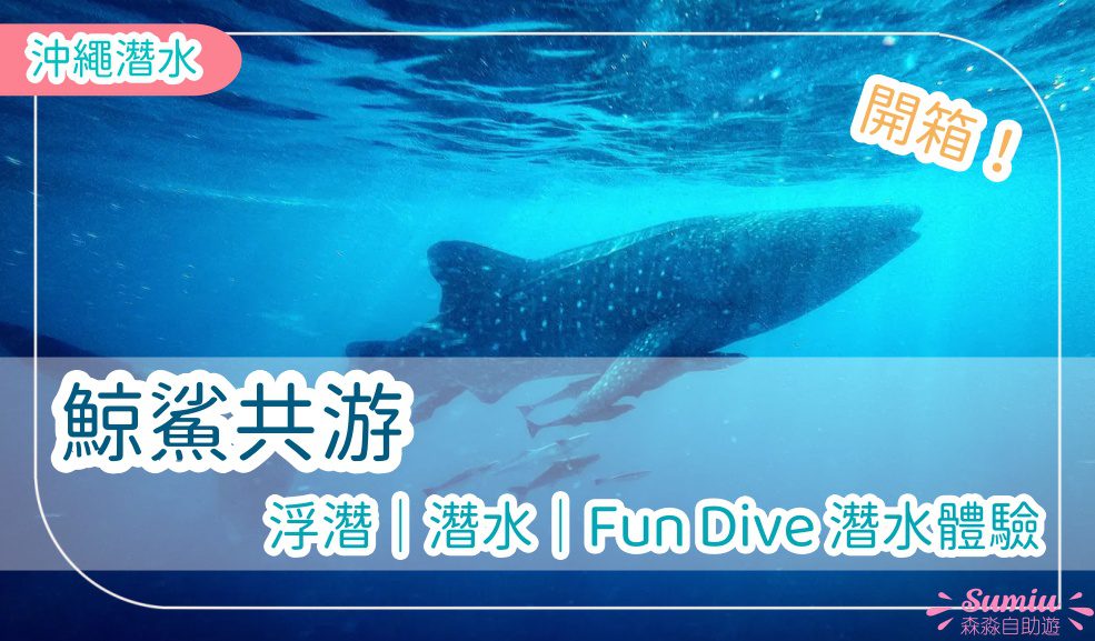 【沖繩潛水】鯨鯊共游浮潛｜潛水｜Fun Dive 潛水體驗｜開箱！