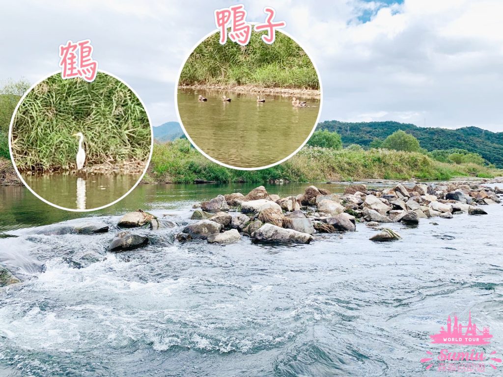 京都嵐山｜保津川遊船體驗玩後感｜預約方法｜費用｜時間表