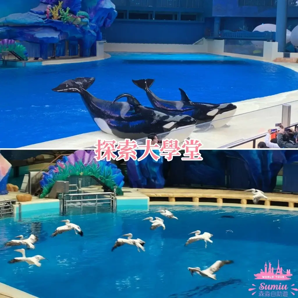 【珠海長隆宇宙飛船】宇宙飛船交通怎麼去?有什麼玩?有酒店套票嗎?