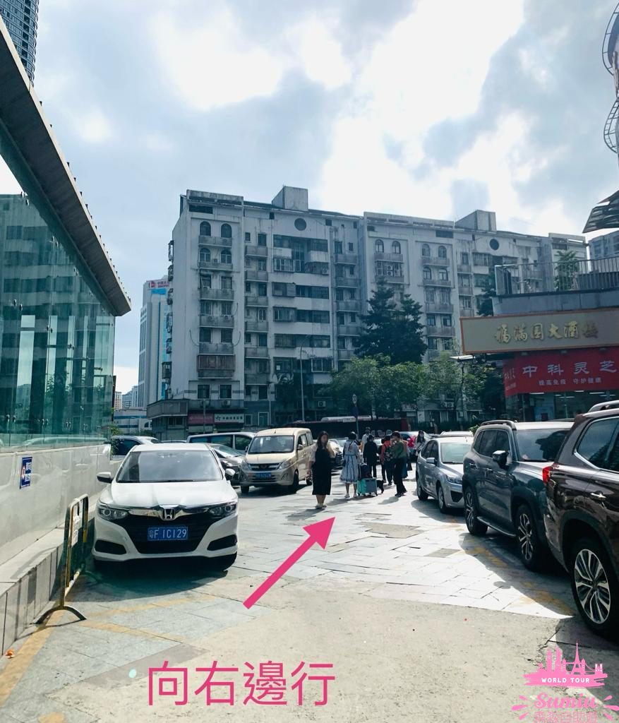 【深圳好去處】福田農批市場半日遊🦜寵物|煲湯材料|蔬果|肉類批發市場
