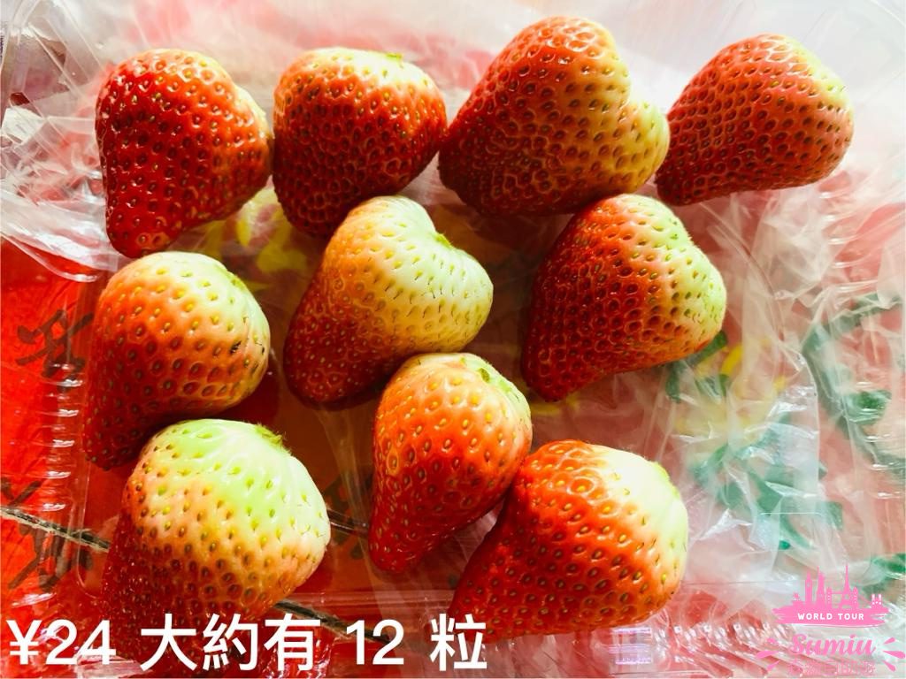 【深圳好去處】福田農批市場半日遊🦜寵物|煲湯材料|蔬果|肉類批發市場