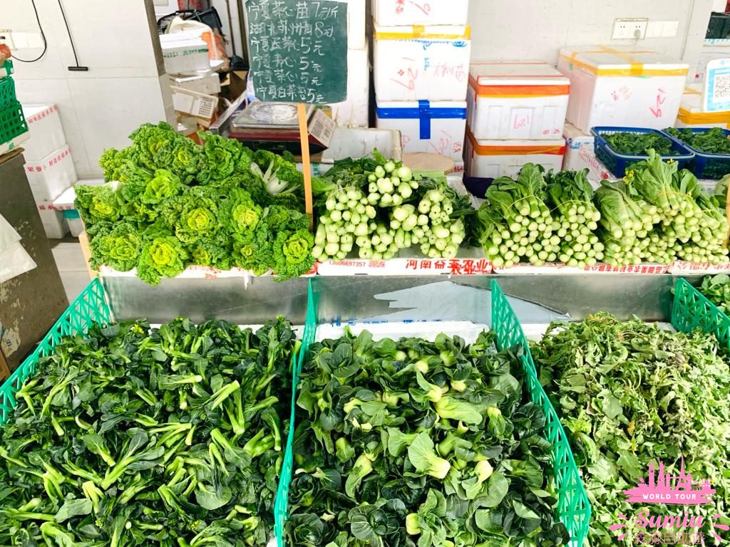 【深圳好去處】福田農批市場半日遊🦜寵物|煲湯材料|蔬果|肉類批發市場