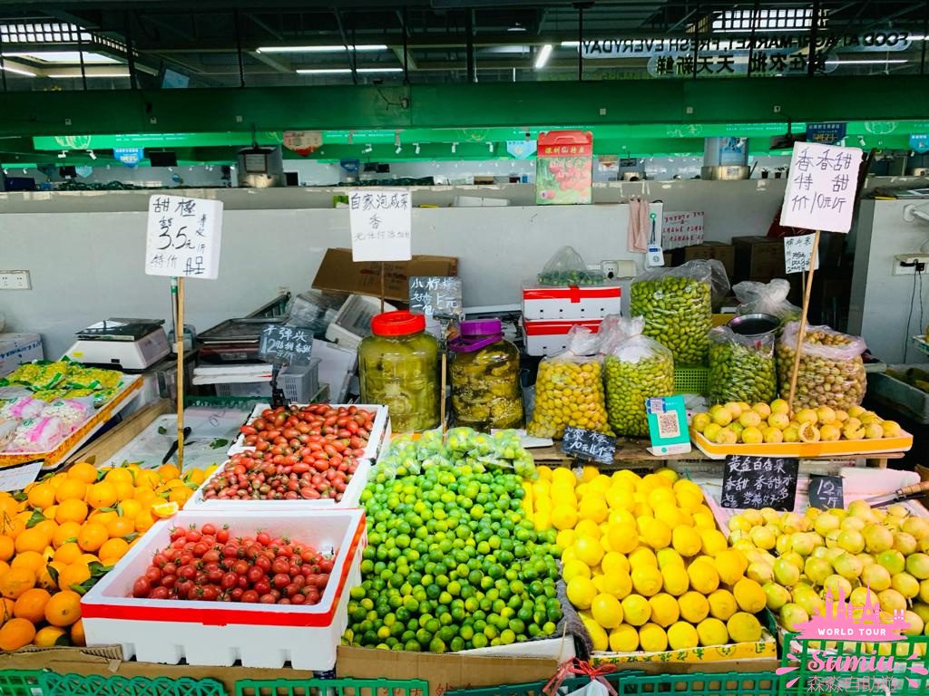 【深圳好去處】福田農批市場半日遊🦜寵物|煲湯材料|蔬果|肉類批發市場