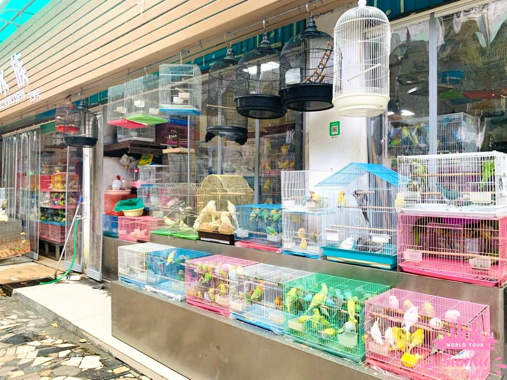【深圳好去處】福田農批市場半日遊🦜寵物|煲湯材料|蔬果|肉類批發市場