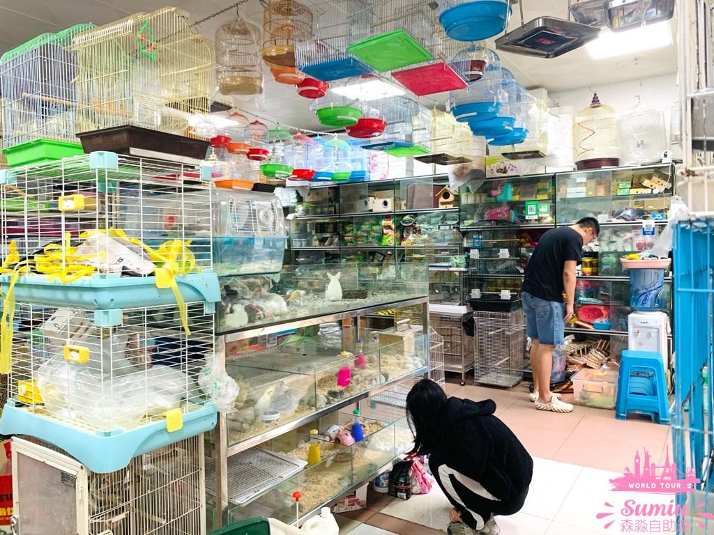 【深圳好去處】福田農批市場半日遊🦜寵物|煲湯材料|蔬果|肉類批發市場