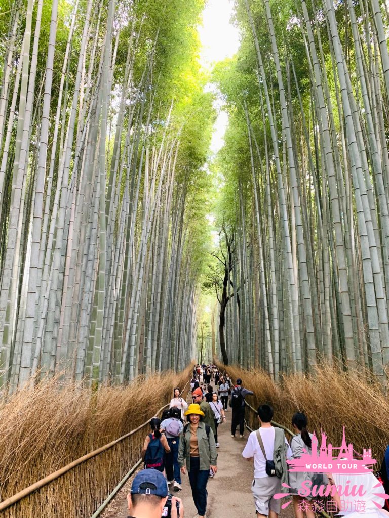 京都嵐山｜400 米長竹林小徑攻略問與答+週邊神社｜交通｜開放時間