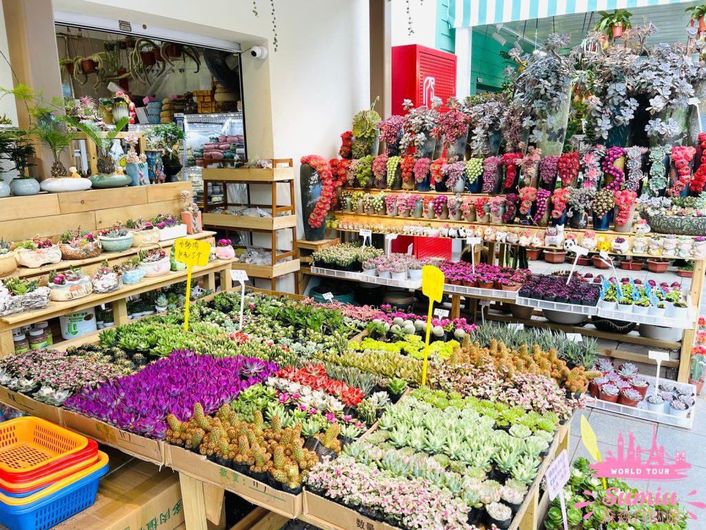 荷蘭花卉小鎮02