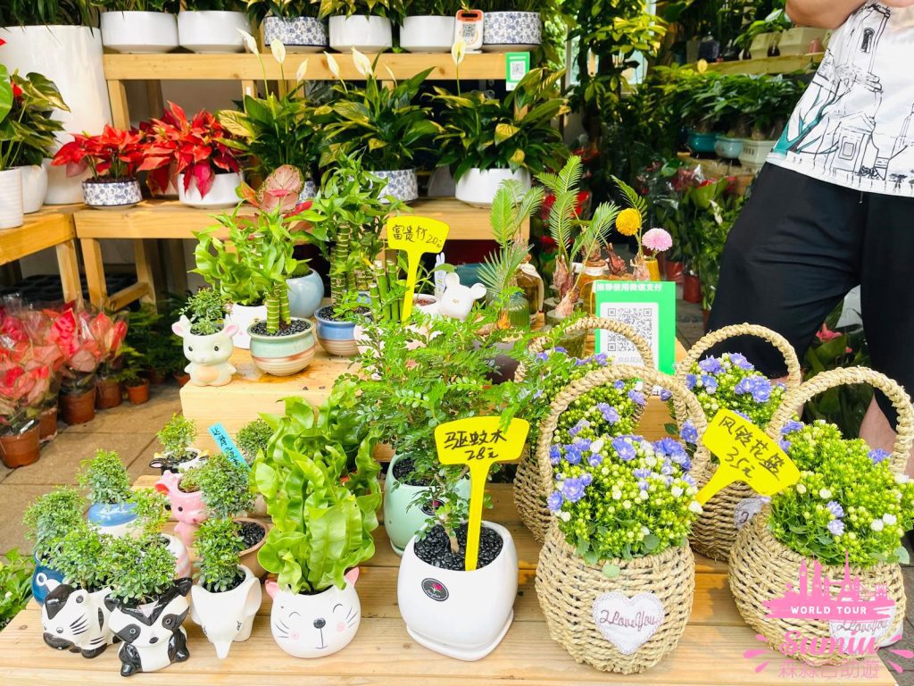 荷蘭花卉小鎮03