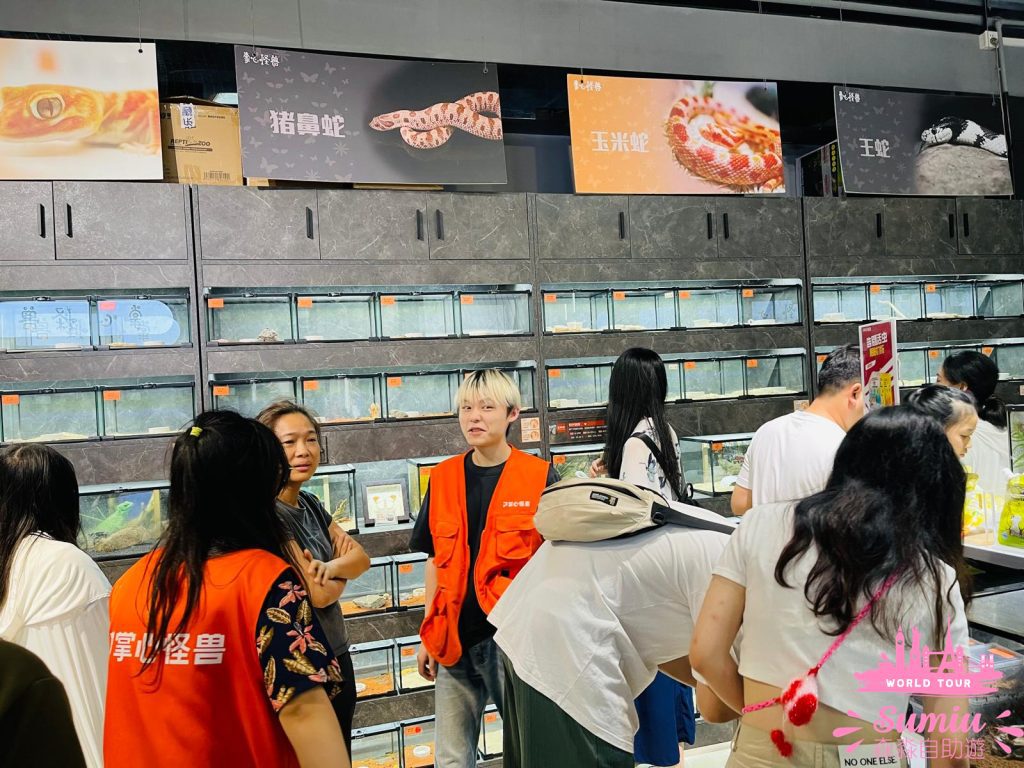 荷蘭花卉小鎮22