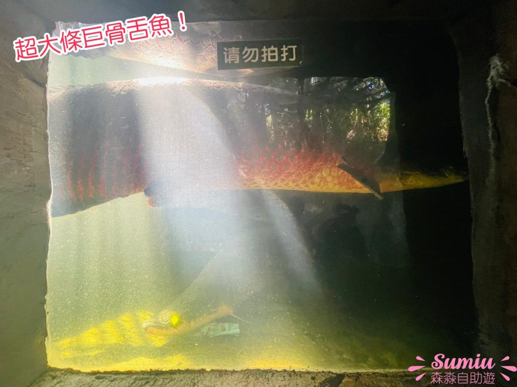 青青世界