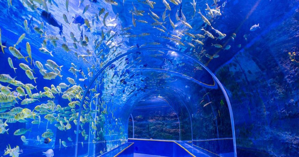 深圳觀瀾海洋世界