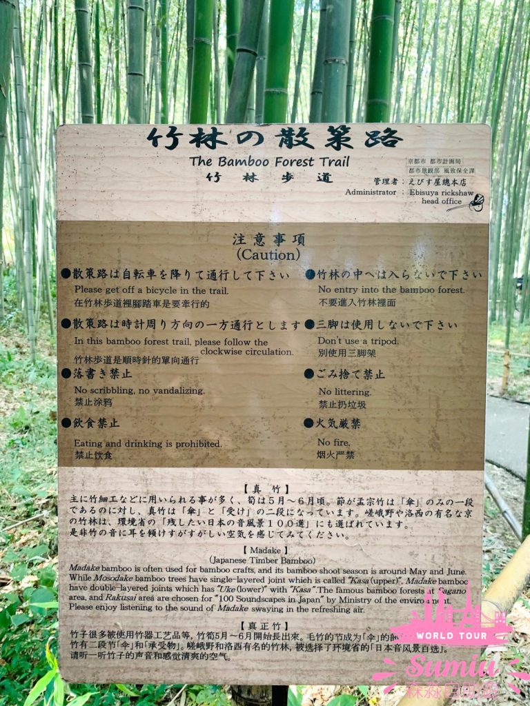 京都嵐山｜400 米長竹林小徑攻略問與答+週邊神社｜交通｜開放時間