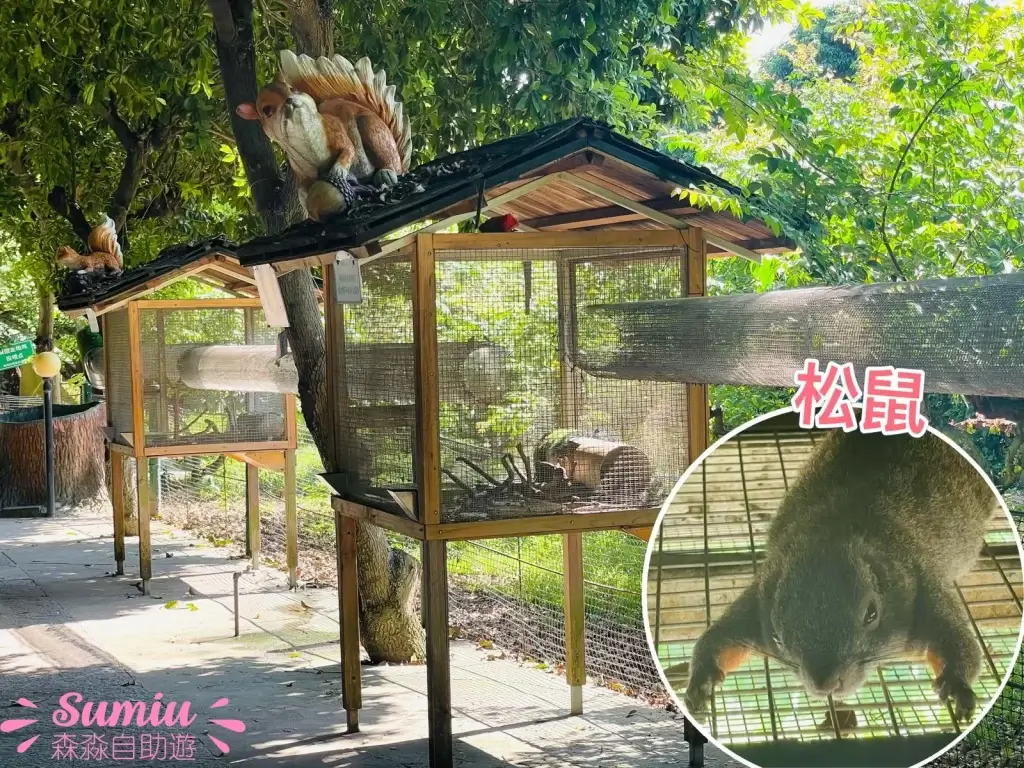 青青世界