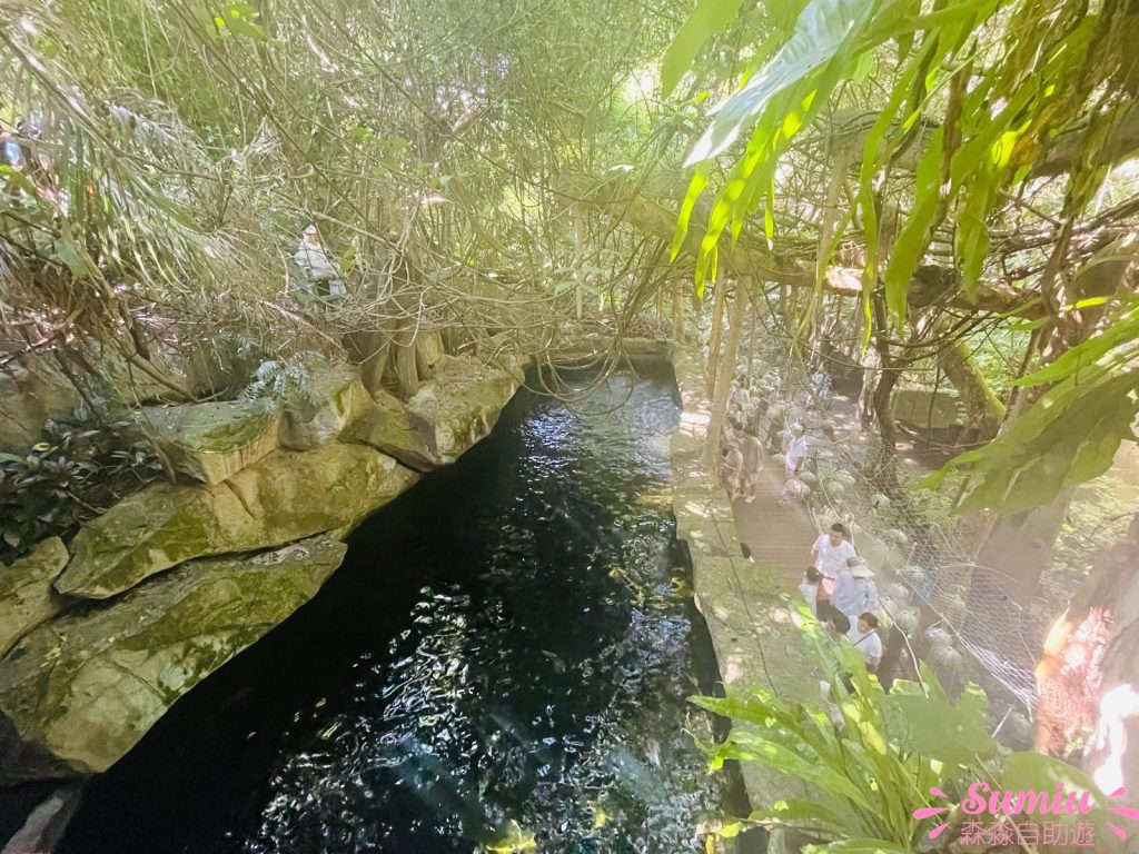 青青世界