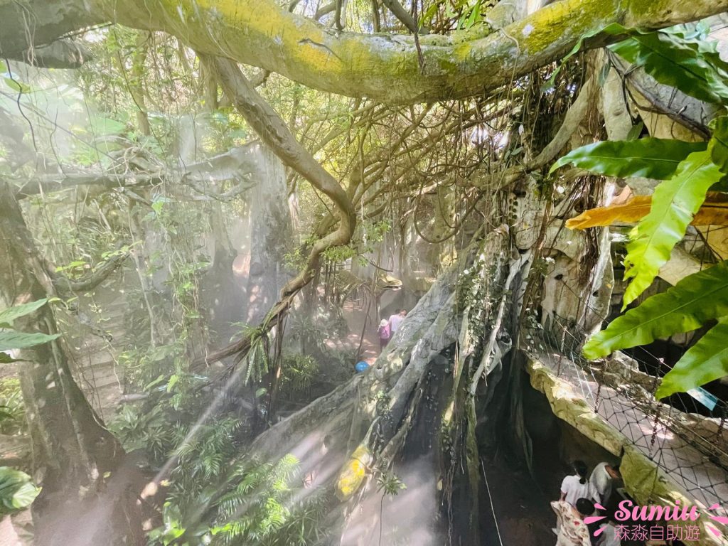 青青世界