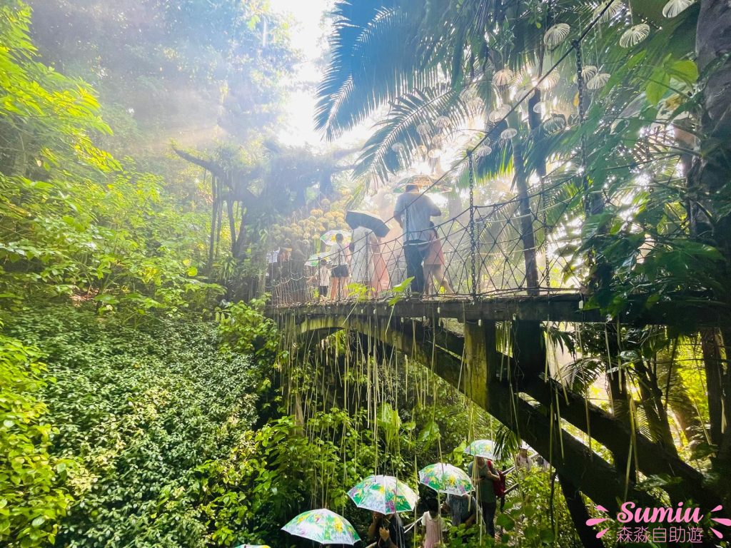 青青世界