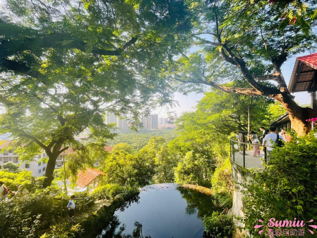 青青世界