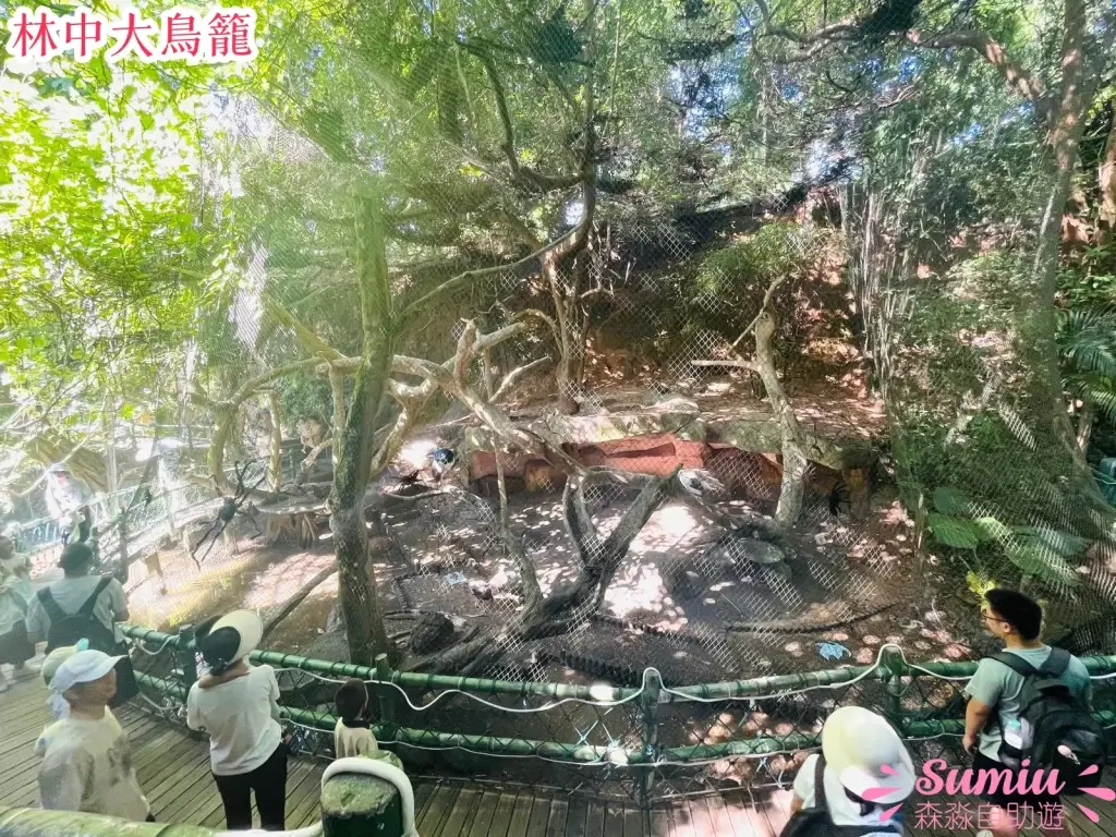 青青世界